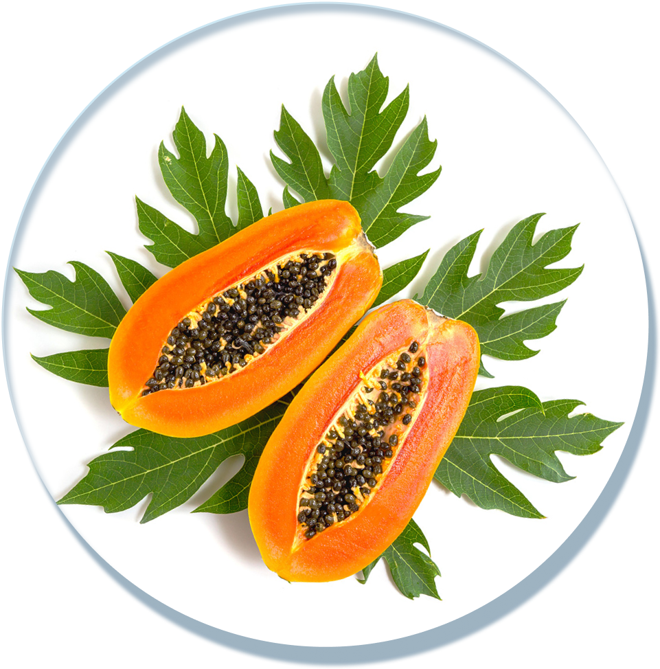 Papaya Leaf Extract goPure Beauty