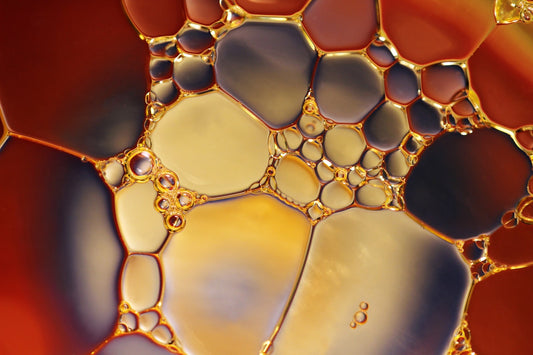 What Are the Benefits of Argan Oil?