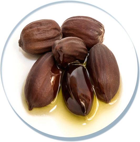 Jojoba Oil