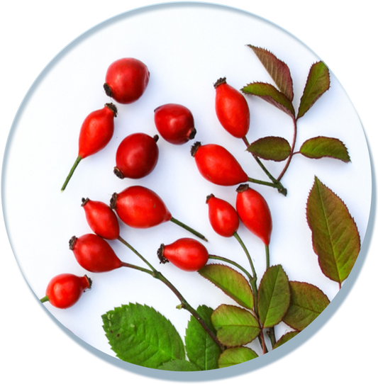 Rosehip Oil