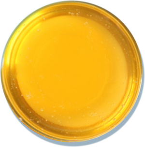 Argan Oil